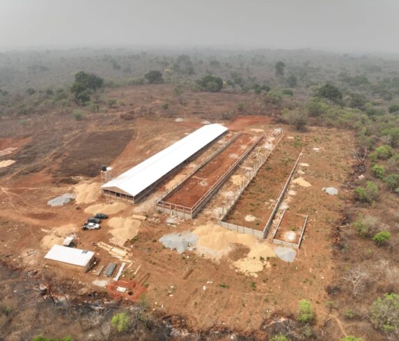 poultry site